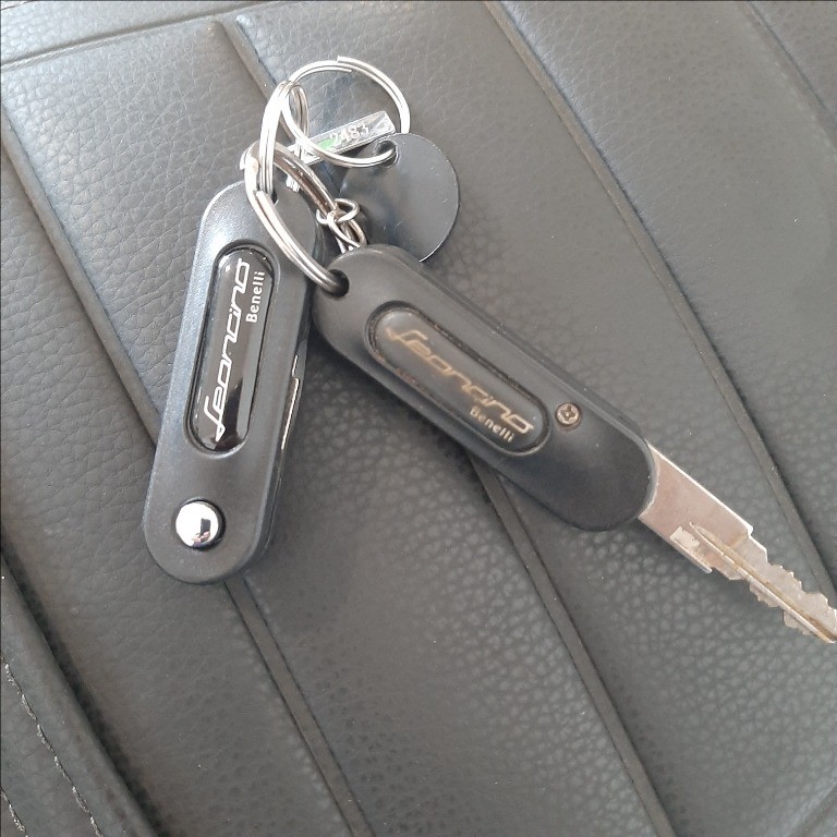 BENELLI Leoncino 800 